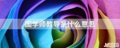 国学师教导是什么意思