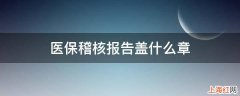 医保稽核报告盖什么章