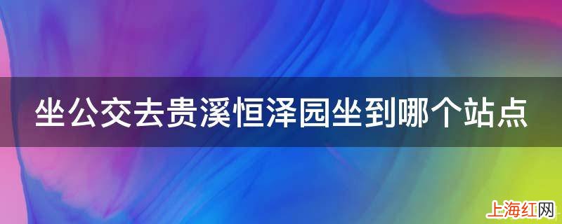 坐公交去贵溪恒泽园坐到哪个站点