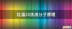 吐温20洗涤分子原理