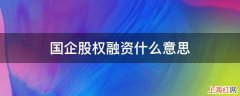 国企股权融资什么意思