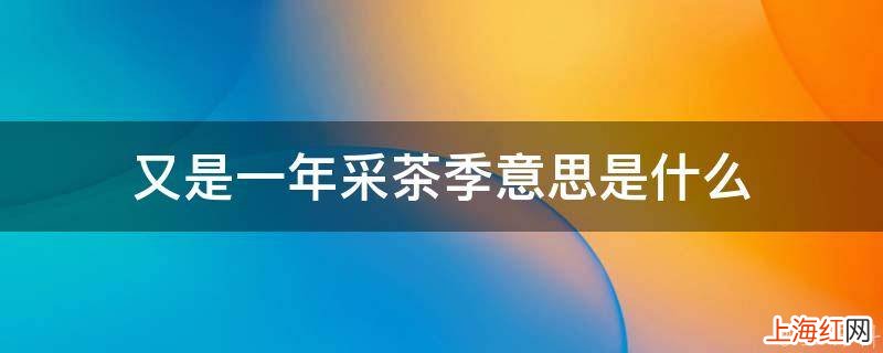 又是一年采茶季意思是什么