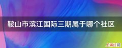 鞍山市滨江国际三期属于哪个社区