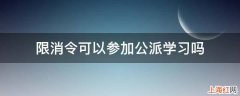 限消令可以参加公派学习吗