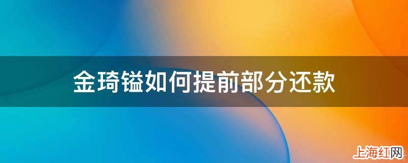 金琦镒如何提前部分还款