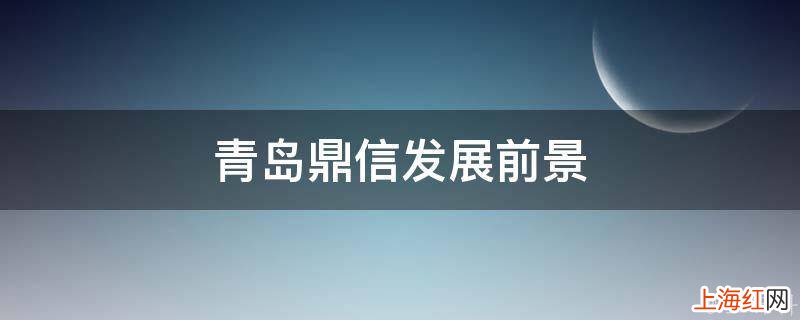 青岛鼎信发展前景