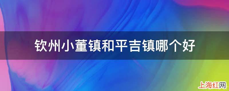 钦州小董镇和平吉镇哪个好