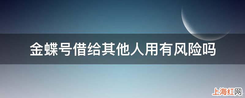 金蝶号借给其他人用有风险吗