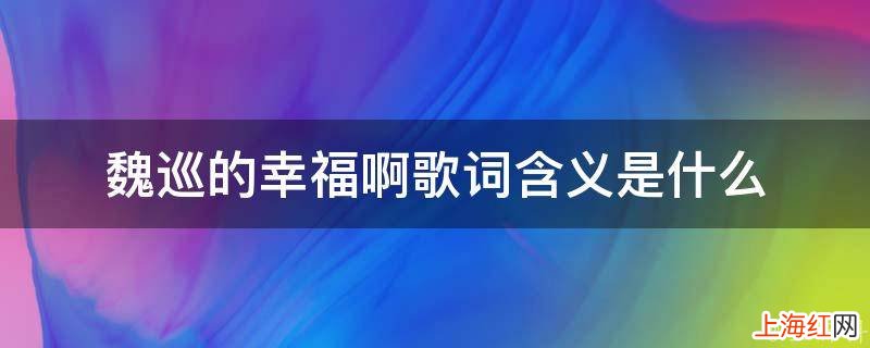 魏巡的幸福啊歌词含义是什么