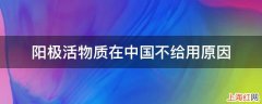 阳极活物质在中国不给用原因