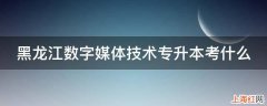 黑龙江数字媒体技术专升本考什么