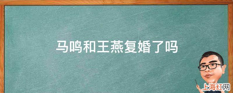 马鸣和王燕复婚了吗