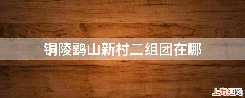铜陵鹞山新村二组团在哪