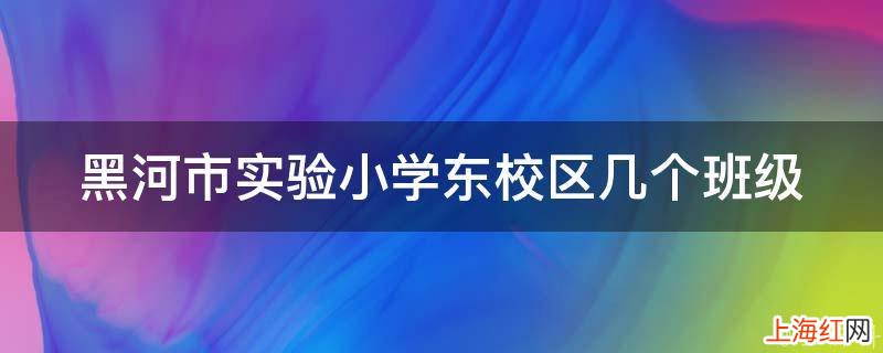 黑河市实验小学东校区几个班级