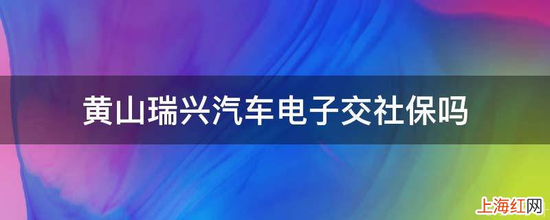 黄山瑞兴汽车电子交社保吗