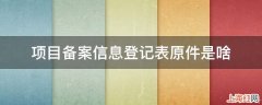 项目备案信息登记表原件是啥