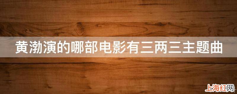 黄渤演的哪部电影有三两三主题曲