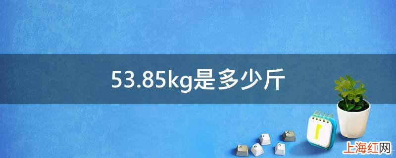 53.85kg是多少斤