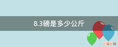 8.3磅是多少公斤