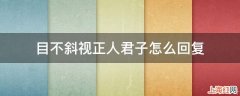 目不斜视正人君子怎么回复