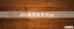 plin基因有多长bp