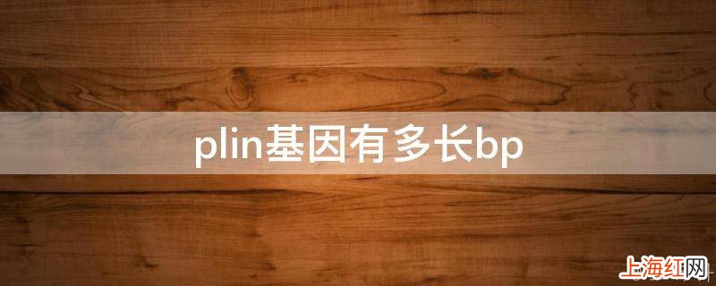 plin基因有多长bp