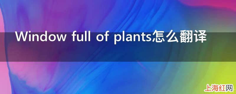 Window full of plants怎么翻译