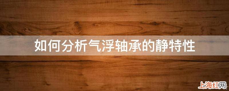 如何分析气浮轴承的静特性