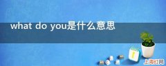 what do you是什么意思