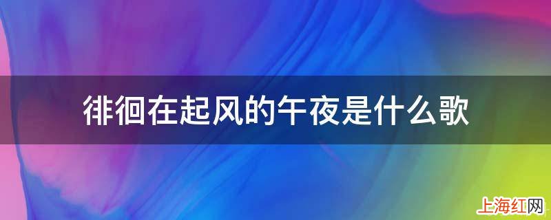 徘徊在起风的午夜是什么歌