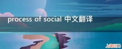 process of social 中文翻译