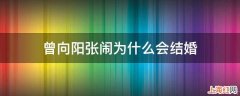 曾向阳张闹为什么会结婚