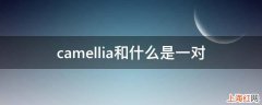 camellia和什么是一对