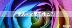 京办app是干什么的