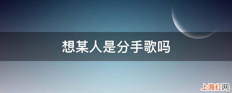 想某人是分手歌吗