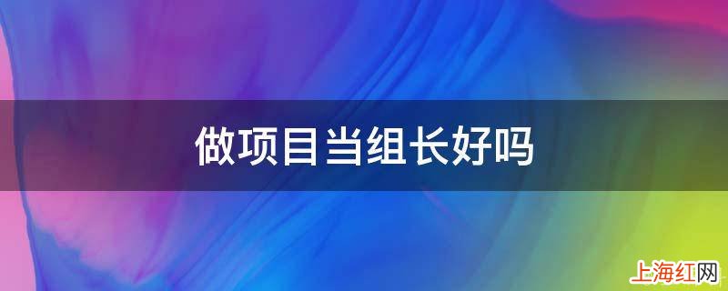 做项目当组长好吗
