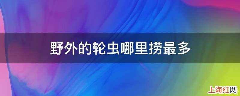 野外的轮虫哪里捞最多