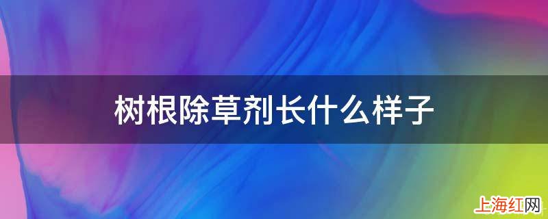 树根除草剂长什么样子