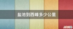 盐池到西峰多少公里