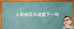 人若桃花半遮面下一句