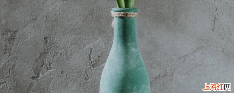 春天花瓶寓意