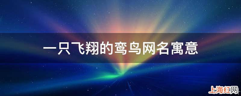 一只飞翔的鸾鸟网名寓意