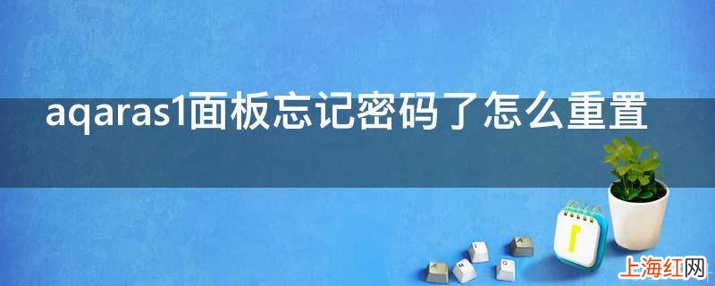 aqaras1面板忘记密码了怎么重置
