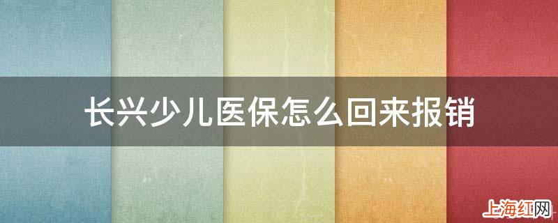 长兴少儿医保怎么回来报销