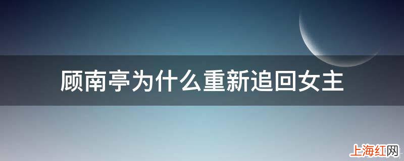 顾南亭为什么重新追回女主