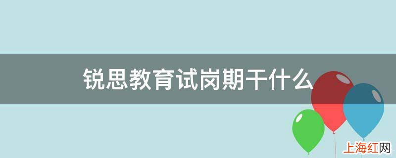 锐思教育试岗期干什么