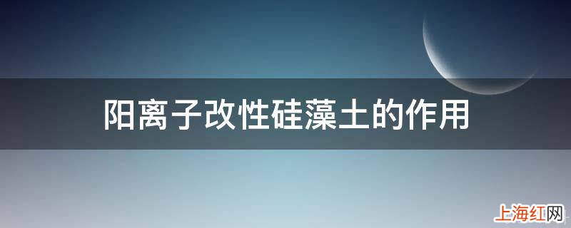 阳离子改性硅藻土的作用