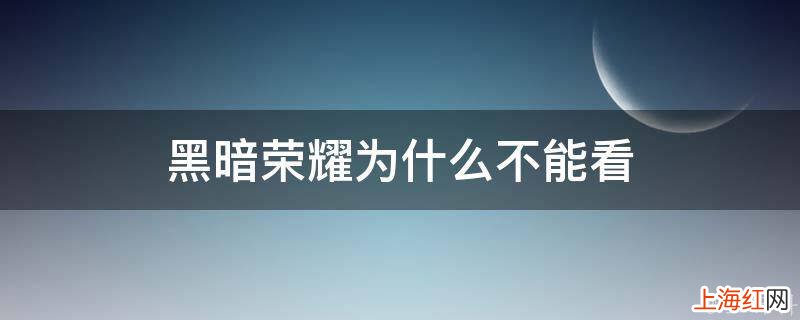 黑暗荣耀为什么不能看