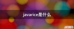 javarice是什么