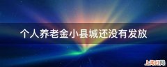 个人养老金小县城还没有发放